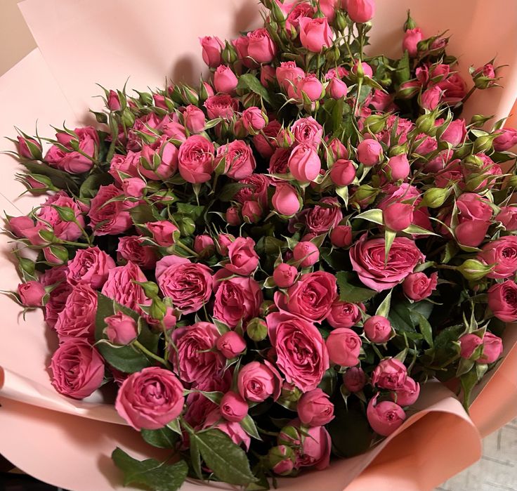 Продам цветы кустовые розы