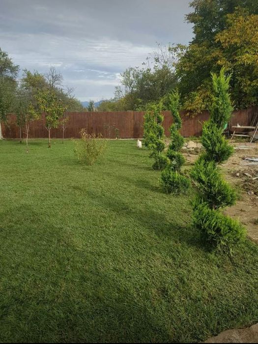 Rulouri de gazon sport