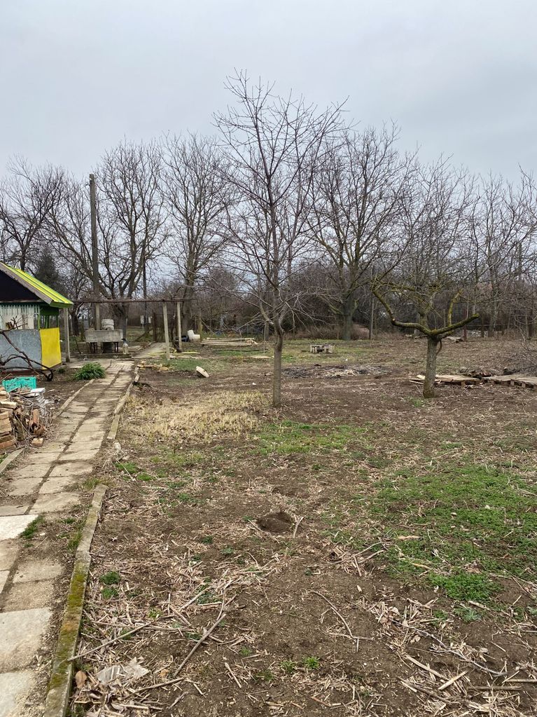 Продава се Парцел в Провадия - 1000 кв.м за 23 €/кв.м - Снимка #5