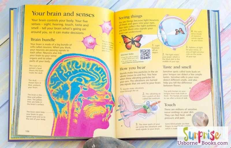 English Books. Children's Encyclopedia. Книга Детская энциклопедия