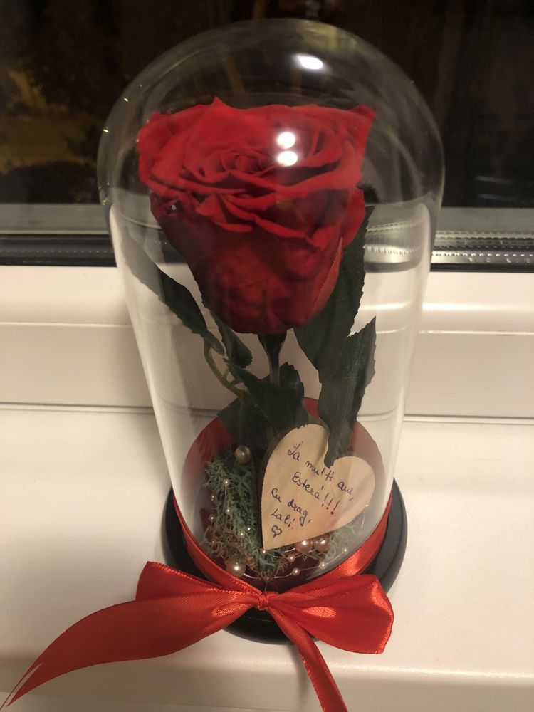 Cupola de sticla cu trandafir criogenat rosu