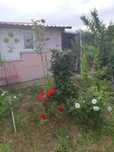 Vând teren intravilan – livadă cu 70 de pomi, casă de vacanță