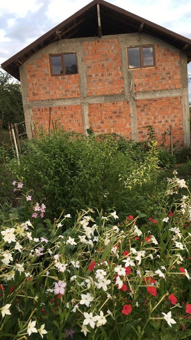 Casa vanzare,pahnesti,husi