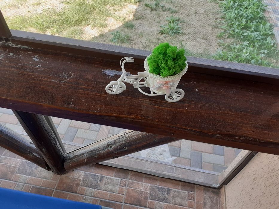 Ornamente cu lichieni