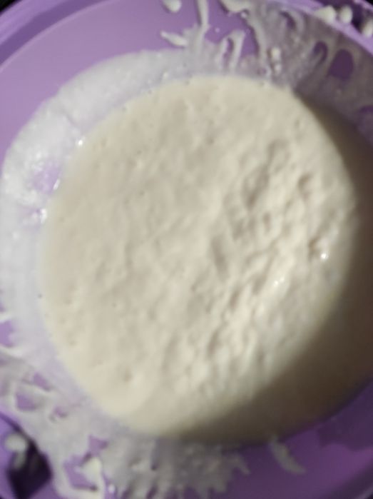 Ciuperca tibetana Tibet kefir lapte super bio