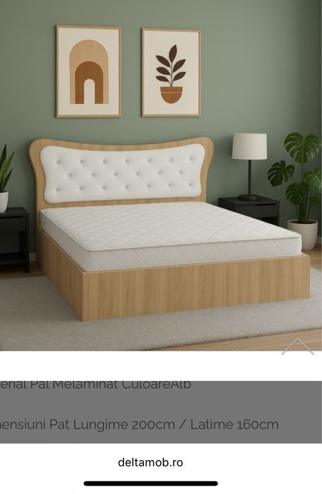 Pat Nixon 160x200 cm + saltea lux ortopedica