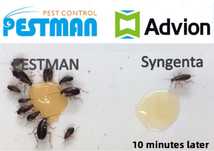 Скидка на 10 дней Гель от тараканов Advion Cockroach Gel Syngenta США