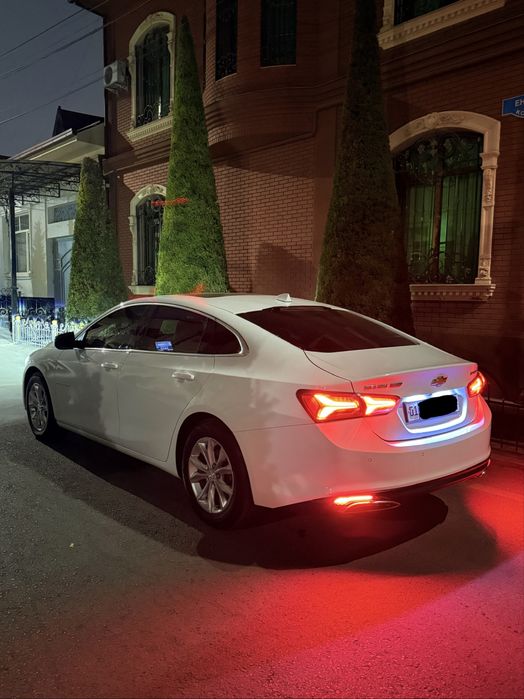 Malibu 2 Preimer 2020