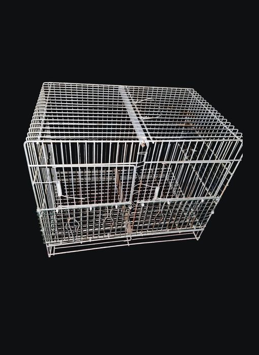 Colivie 501 pentru canari , zebre  sau alte pasari de colivie