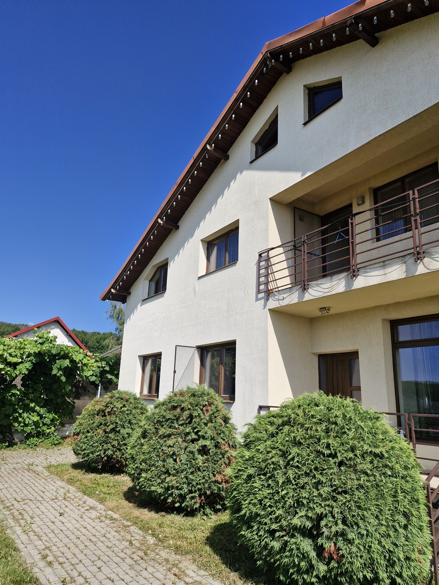 Casa Smeura Curte 750 mp Terasa+Jacuzzi Deosebit