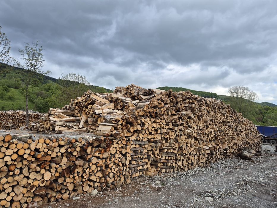Lemn foc fag metru ster,metru cub și tocate
