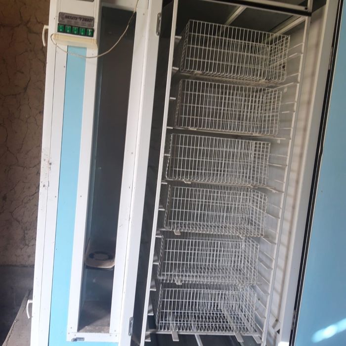 Инкубатор Рэмил-Ц