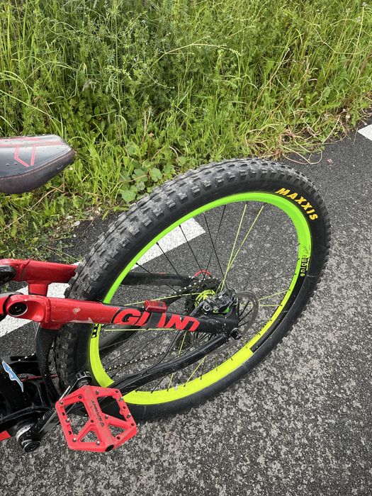 Downhill giant glory