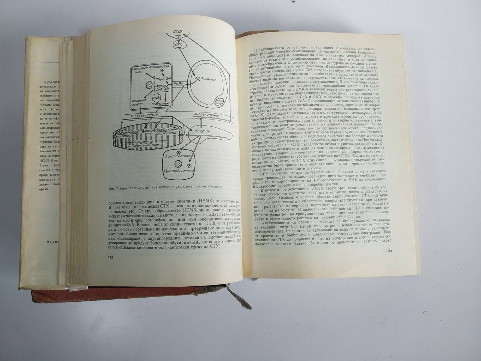Стара медицинска литература ""Ендокринология" от 1968г