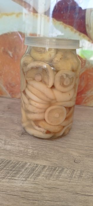 Грибы Грузди Праздничные, соленые , вкусные, мелкие .