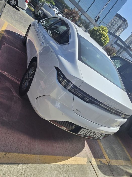 Byd chazor chempion 55 talik