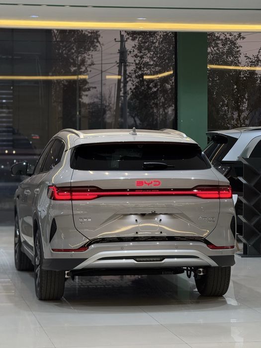 BYD Chenpion Smart driving 2026