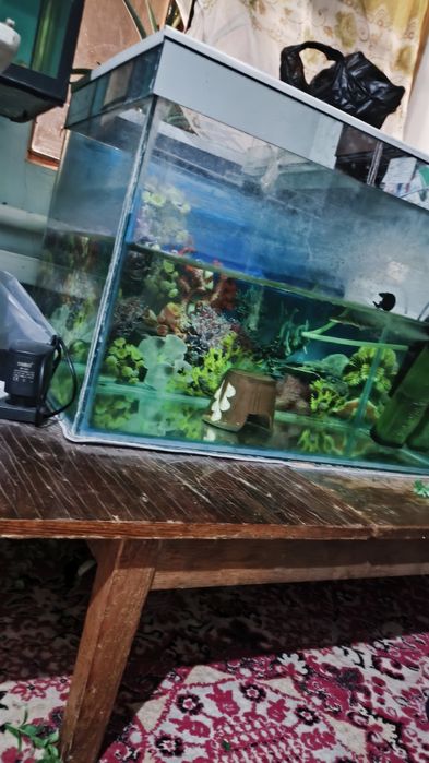 Аквариум 200 литр + самп
