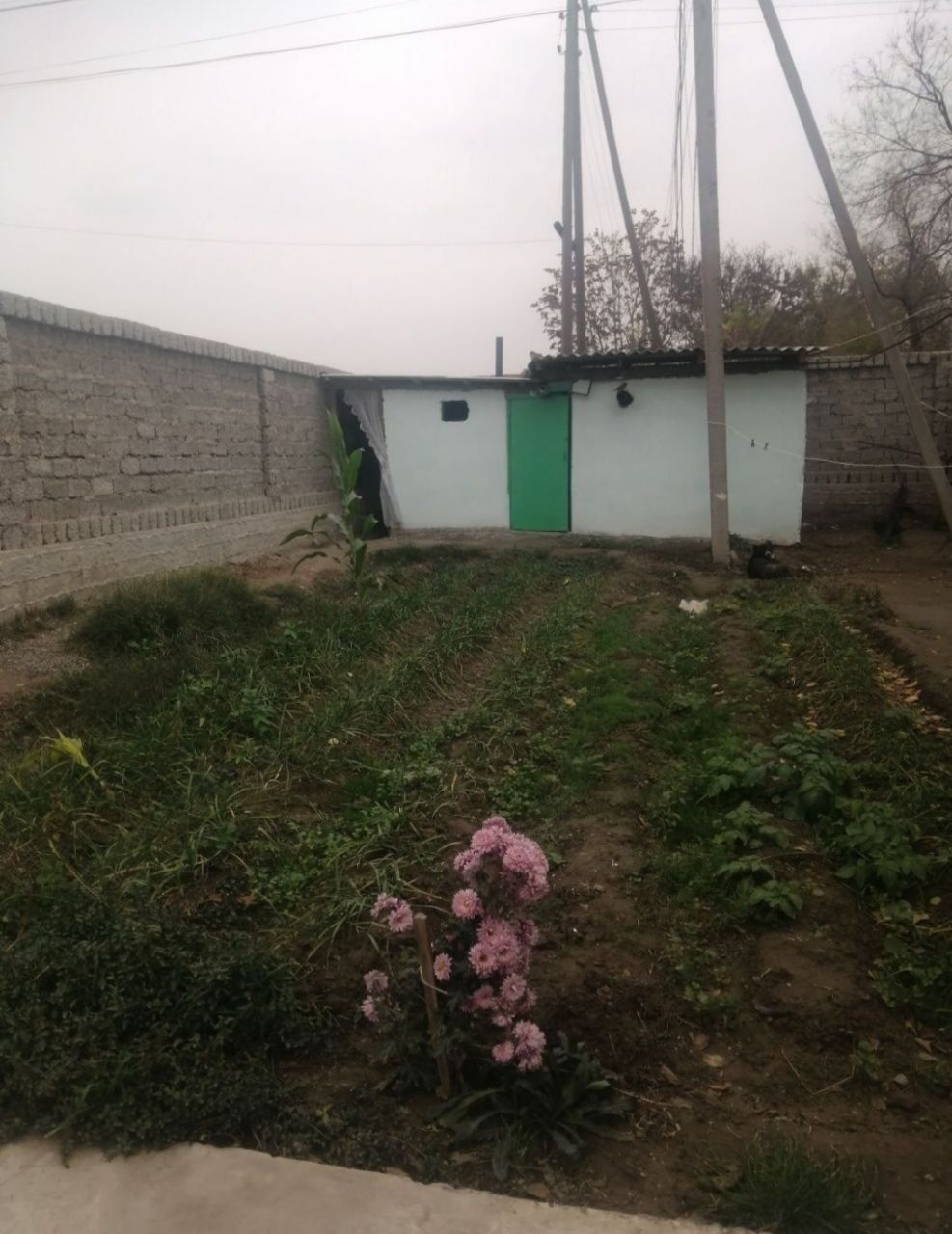 Uy sotiladi. Sirdaryo tumani Sholikor MFY Maktab yonida