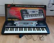 Orga electronică