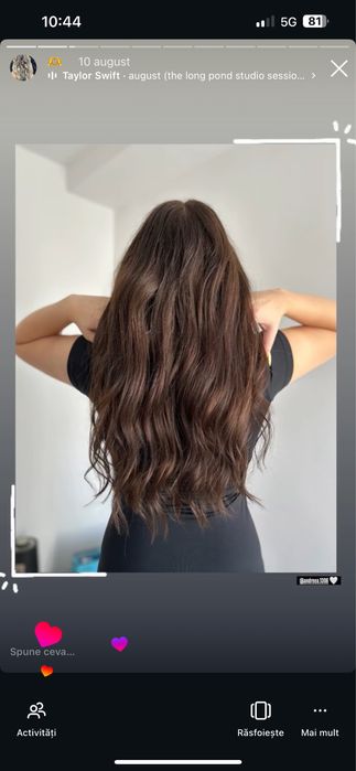 Servicii Hair-stylist