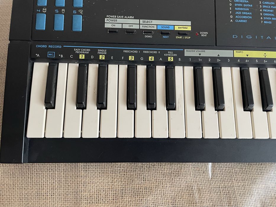 Orga pentru copii incepatori