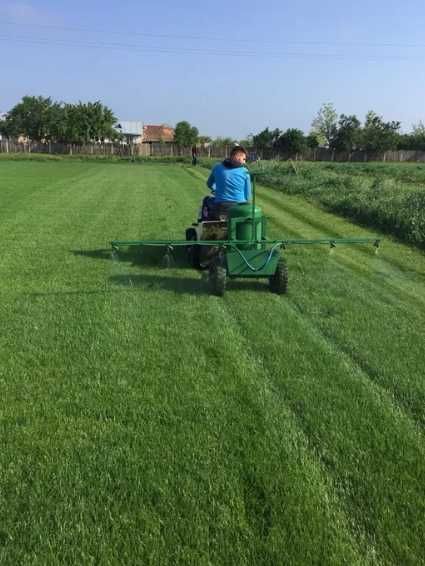 Transformare grădină: gazon natural și irigare automată