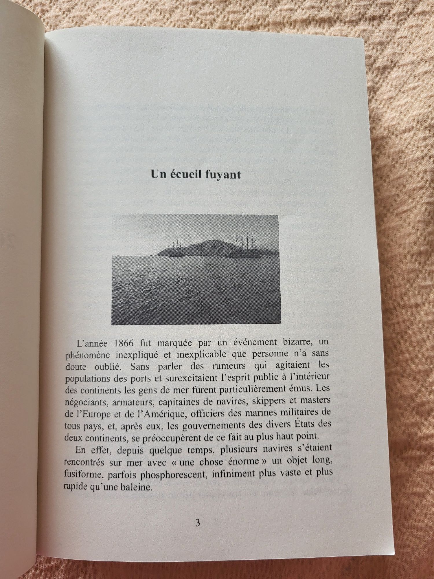 "20.000 de leghe sub mări" în franceză