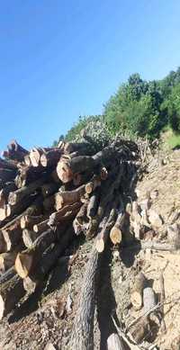 Vând lemne de foc la 250 lei metru