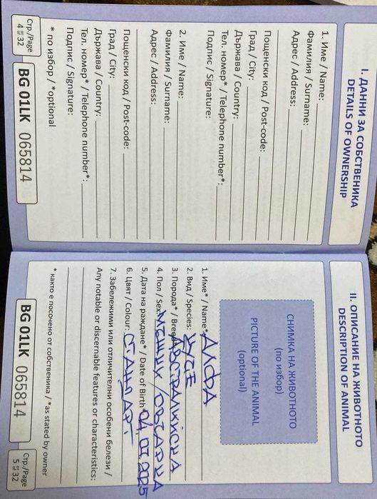 кученце,австралийска овчарка,мъжкар,на 4 месеца, ваксини,паспорт и чип