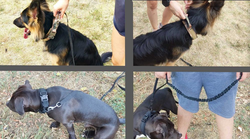 Нашийник куче с метална катарама едра порода тактически