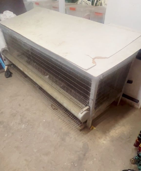 Tovuq ini  28 tagacha tovuq sig'adi