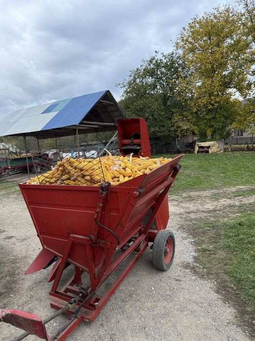 Vand porumb stiuleti