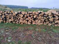 Vand lemne de foc carpen esenta tare