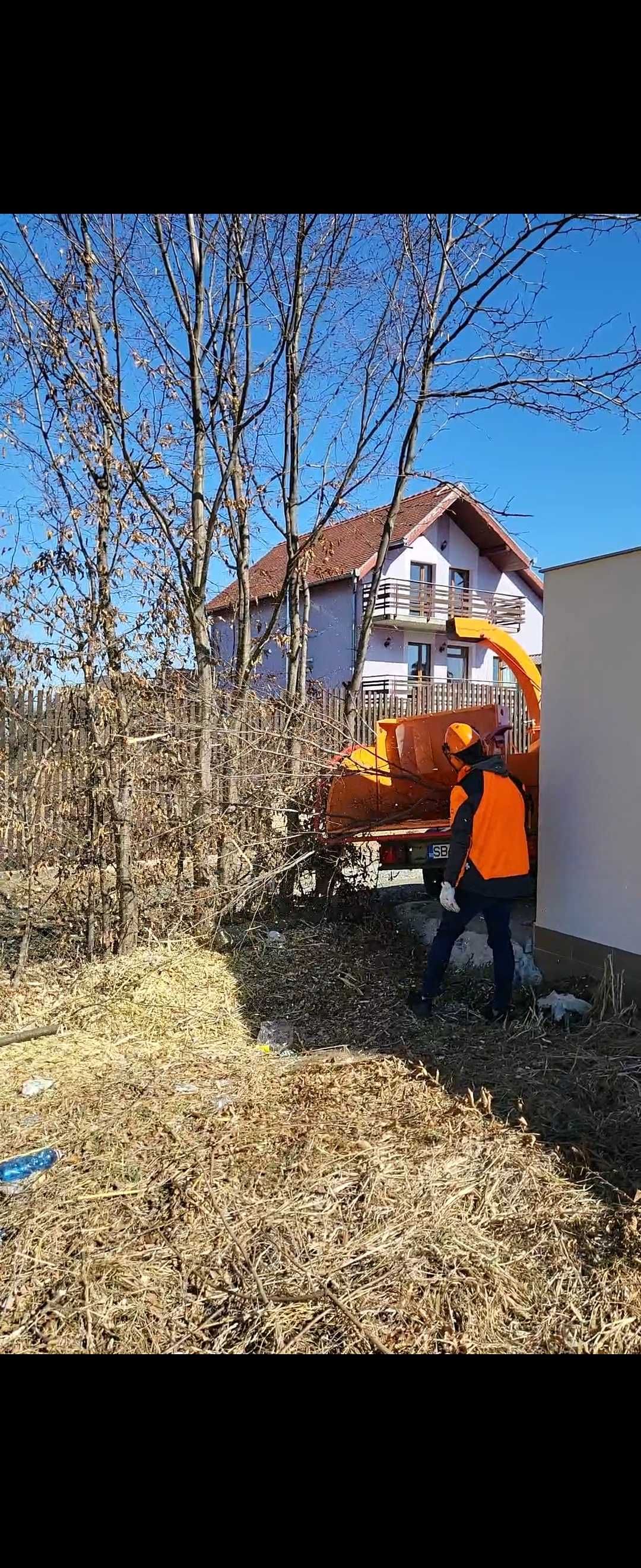 Servicii de intretinere spatii verzi, gradini, toaletare pomi