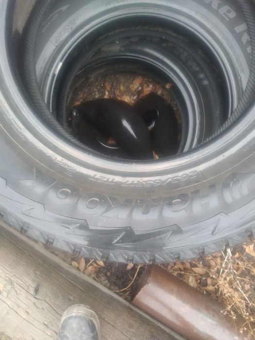 Продам зимние шины