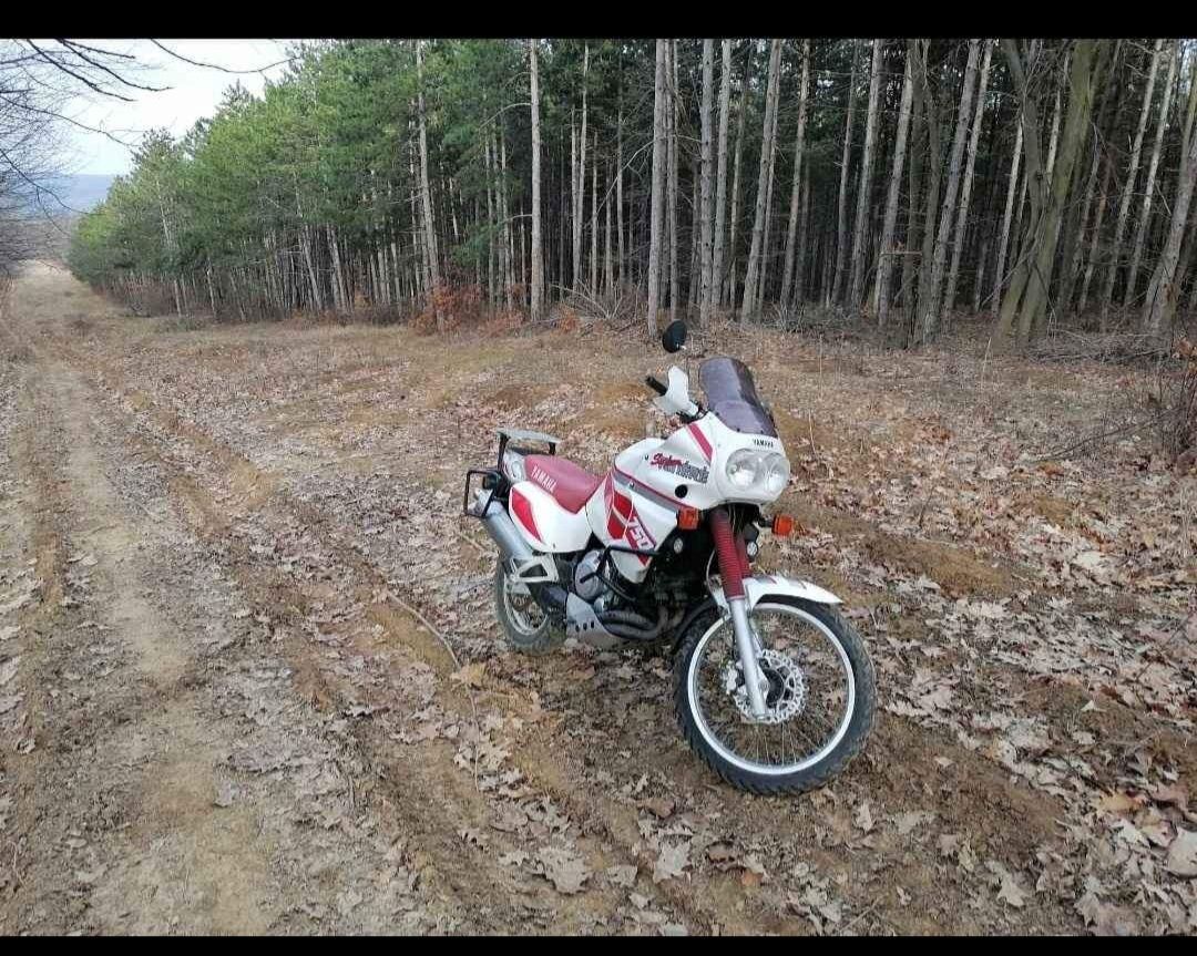 YAMAHA supe TeNeRe