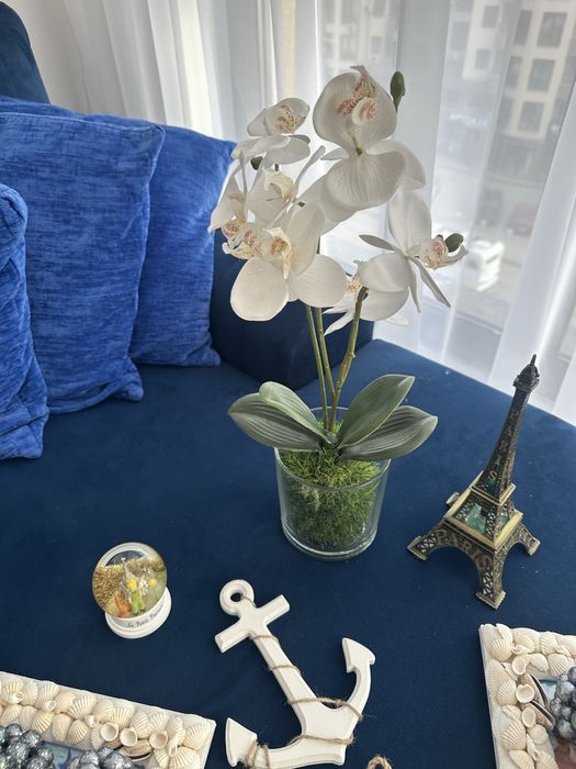 Цена на целия декор 25 лв, цена за всичко