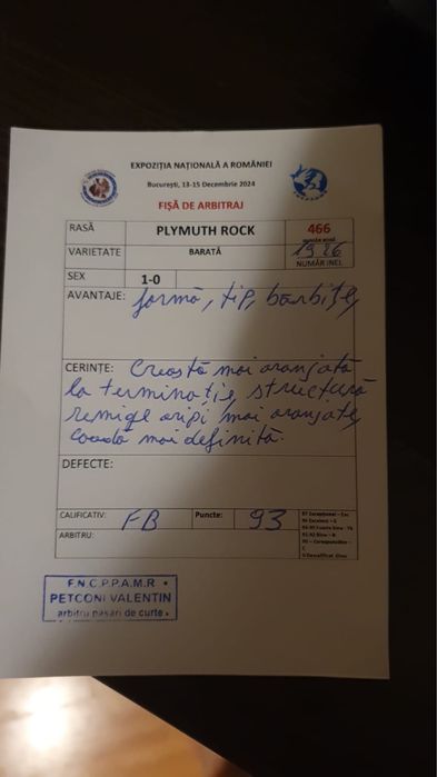 Oua Plymouth Rock Barat