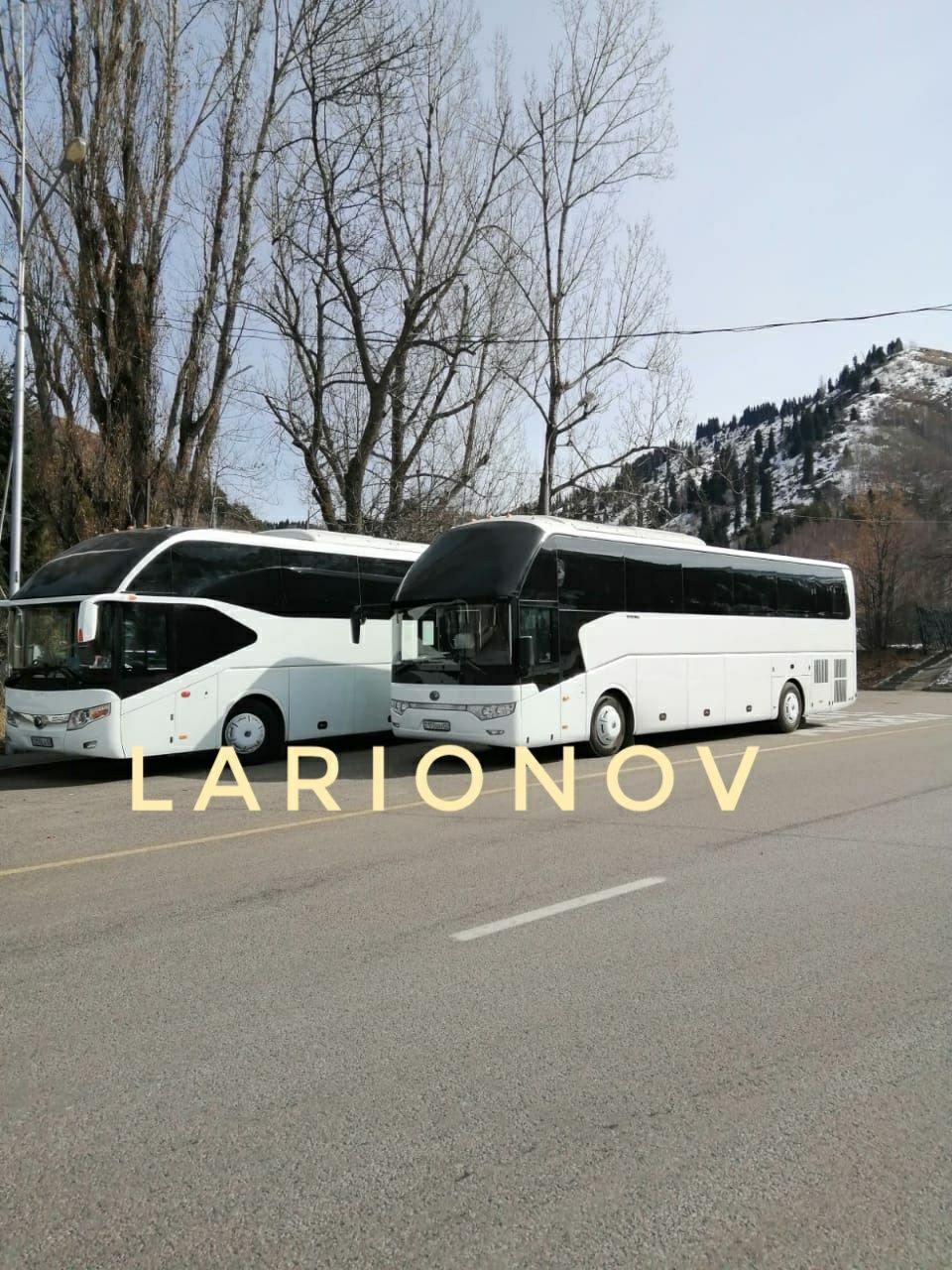 Автобусы и Микроавтобусы в аренду