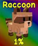 Racoon|Corrupted racoon|продаю енота в игре Grow a garden
