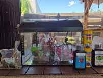 acvariu 25L cu toate accesoriile, filtru, incalzitor, hranitor automat