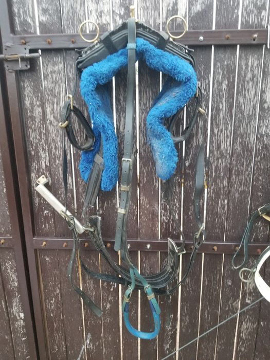 hamuri pentru  cai trapasi
