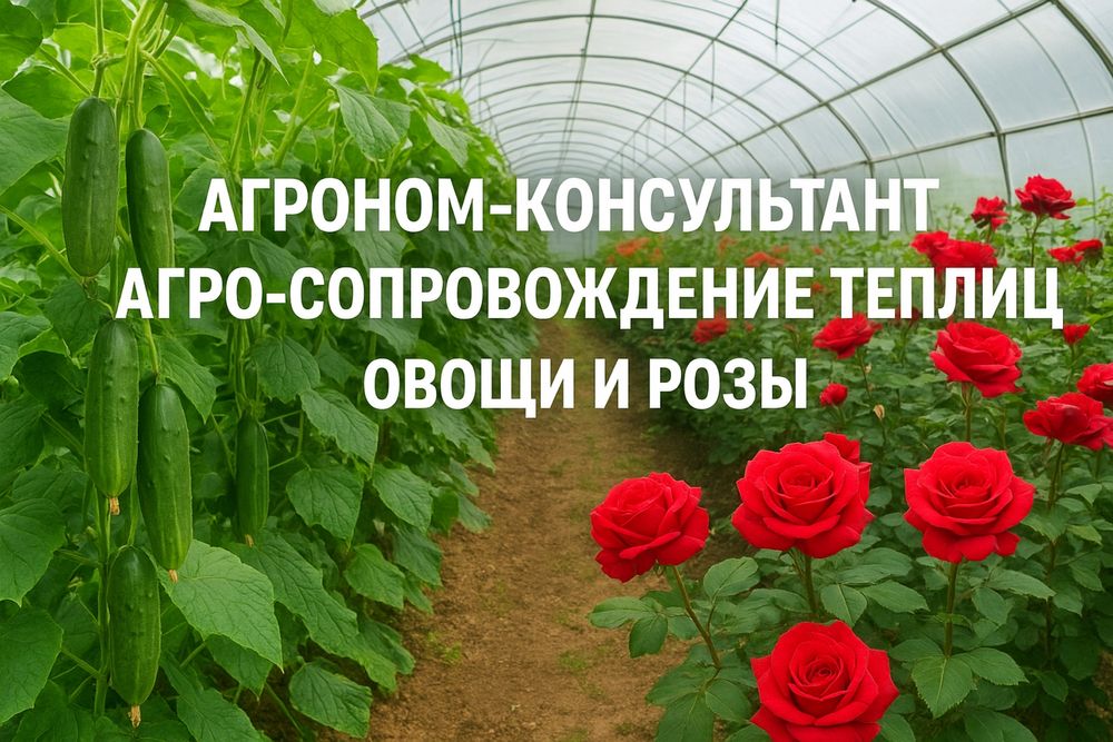 Агроном-консультант