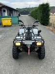 Linhai Explorer 300 2x4 (nu cf moto tgb shineray )