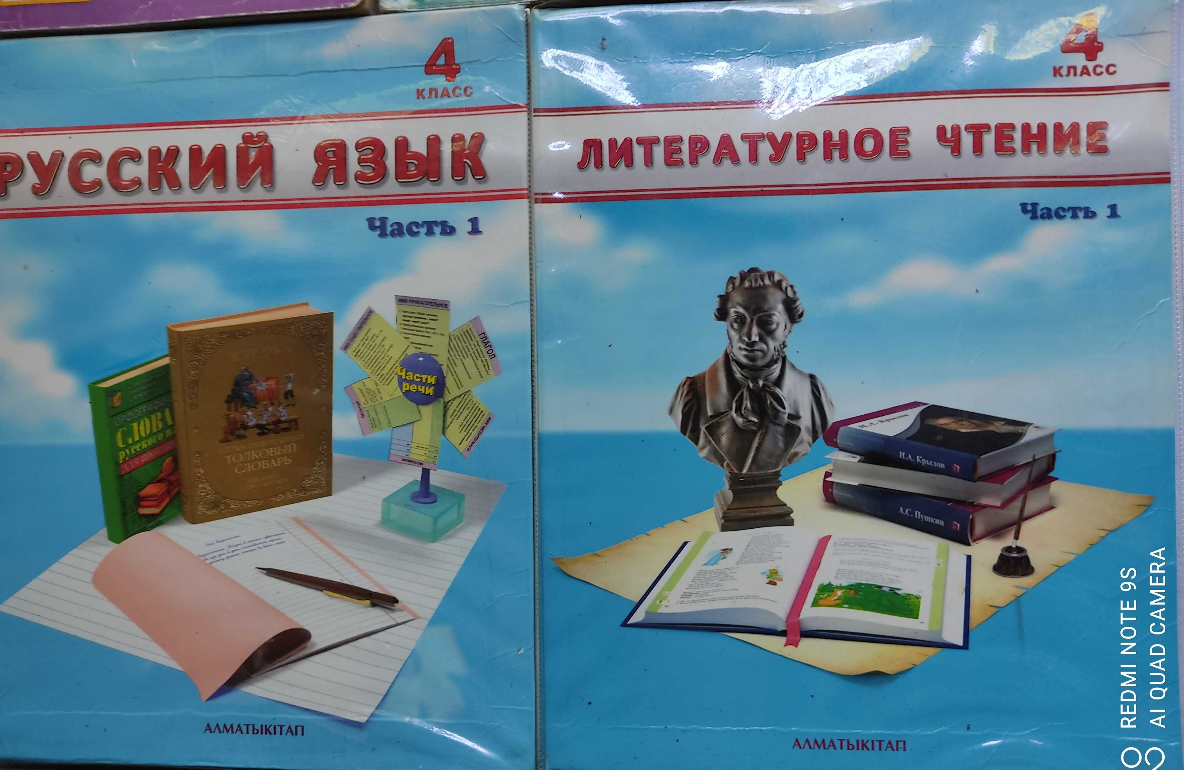 Учебники по русскому языку и литературы
