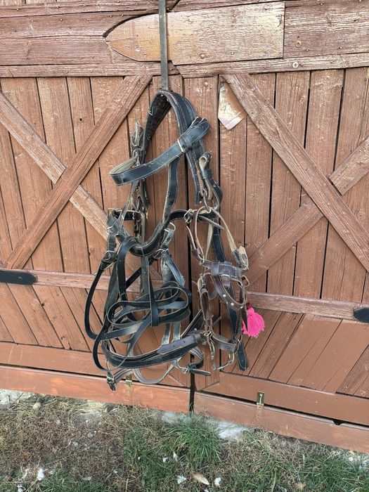 Se vând accesorii ponei/ măgar