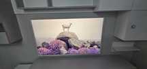 Vand televizor Samsung QLED The Frame 163 cm