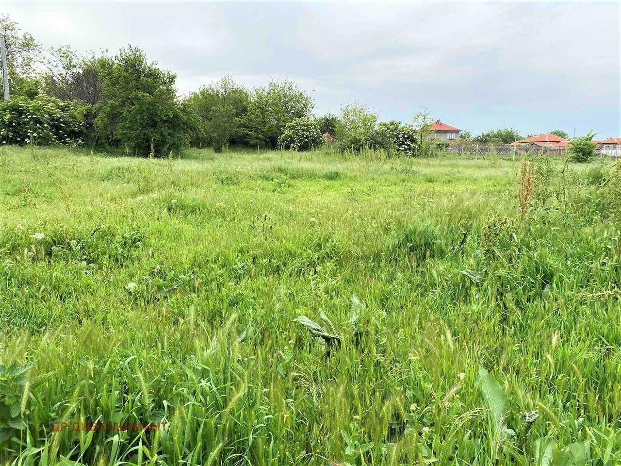 Продава се Парцел в с. Плодовитово, Област Стара Загора - 3000 кв.м за 10 €/кв.м - Снимка #4