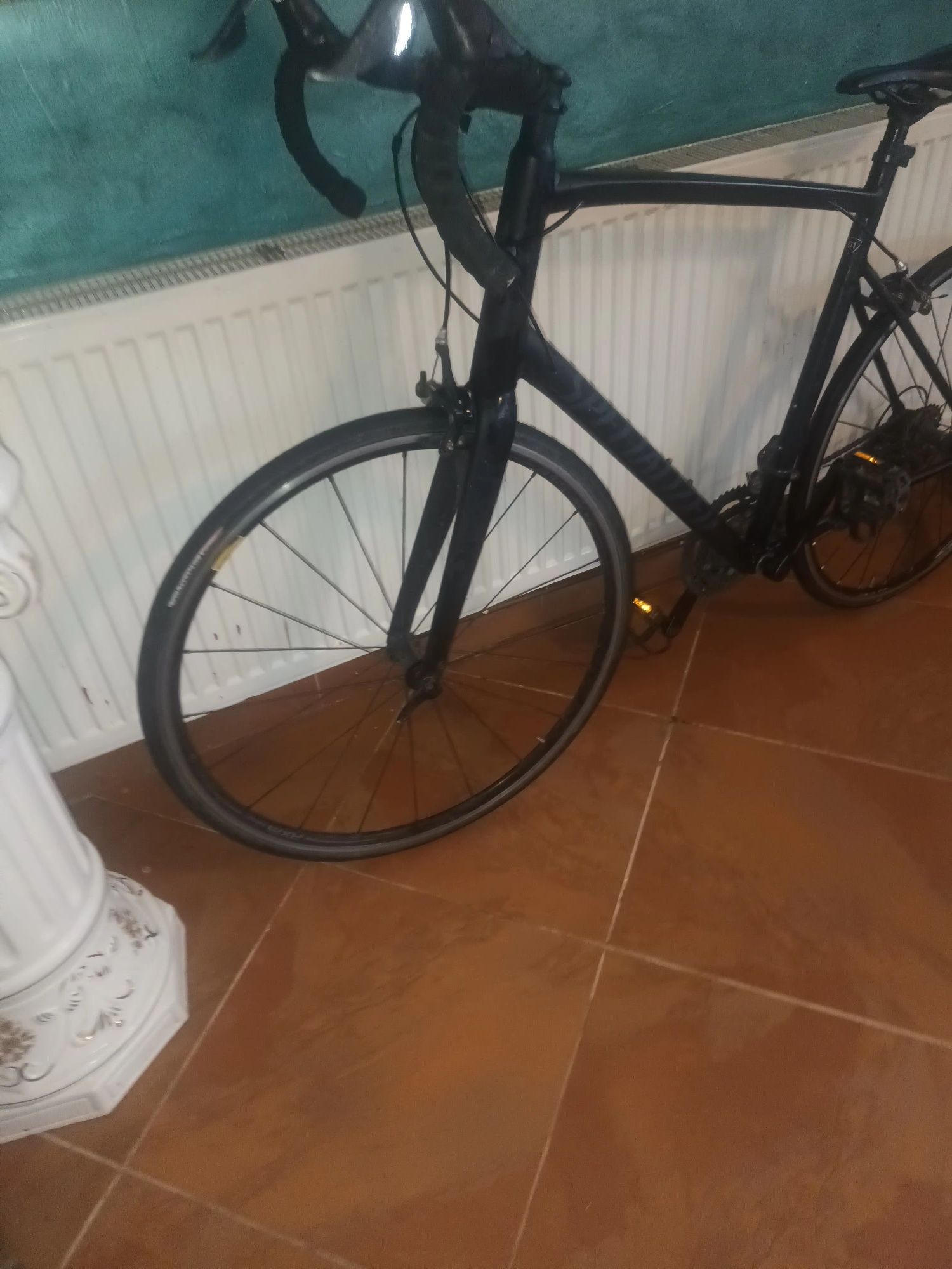 Bicicleta Profesionala